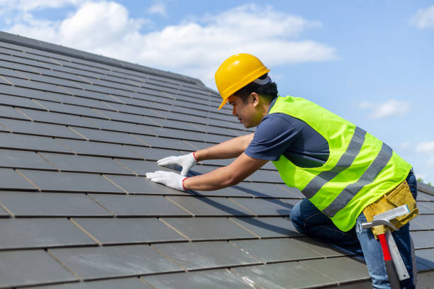 Best Roof Gutter Cleaning  in Roseville, MI