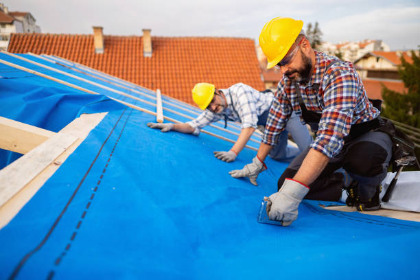 Best Roof Waterproofing Services  in Roseville, MI