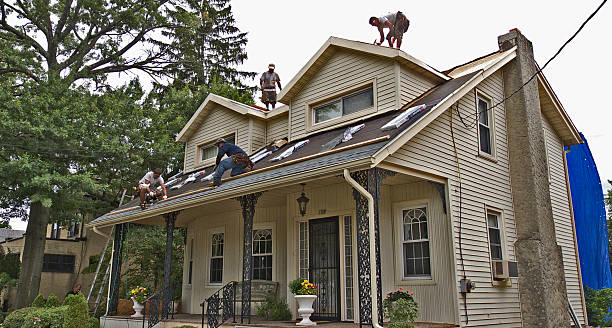 Best Residential Roofing Contractor  in Roseville, MI