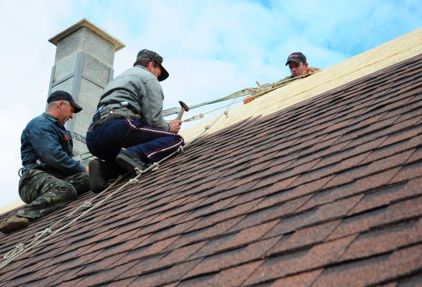 Best Affordable Roofing Company  in Roseville, MI
